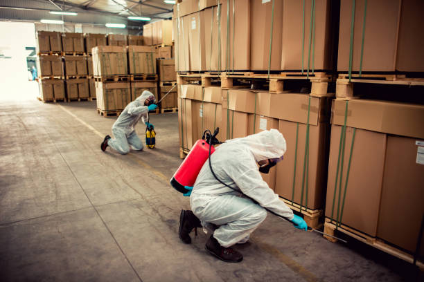 Pest Prevention Services in Albertson, NY
