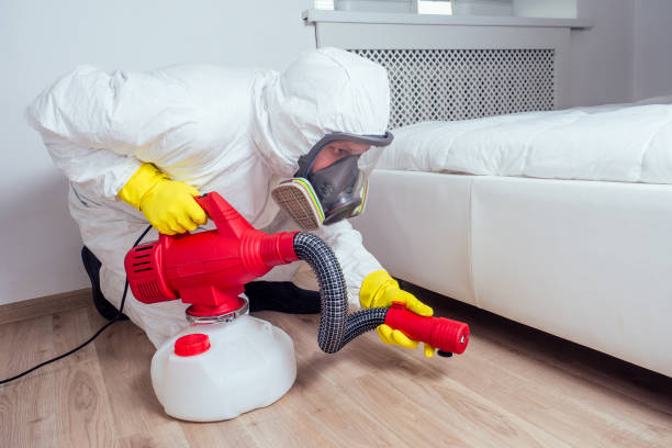 Best Best Pest Control Companies  in Albertson, NY