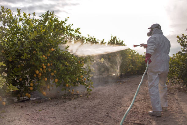 Flea Control Services in Albertson, NY