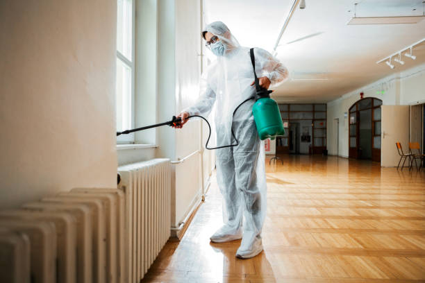 Trusted Albertson, NY Pest Control Experts