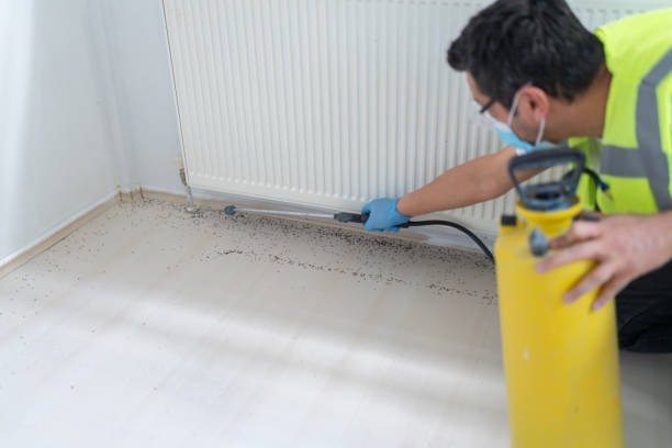 Best Pest Control Near Me  in Albertson, NY