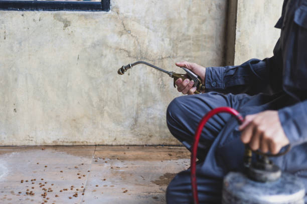 Best Local Pest Control Services  in Albertson, NY